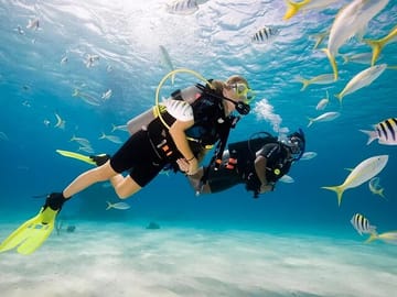 Scuba Diving Adventure in the Red Sea from Hurghada