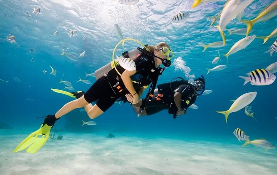 Scuba Diving Sea Trip with Lunch and Transfer from Hurghada