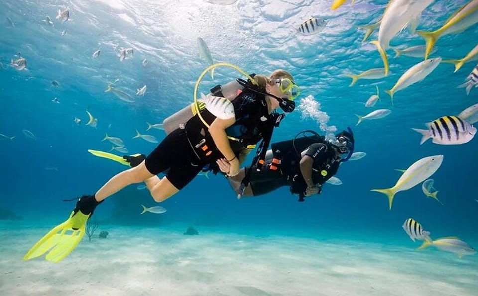 Scuba Diving Adventure in the Red Sea from Hurghada