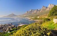 Cape Town's Culture and Cuisine, Private tour 4