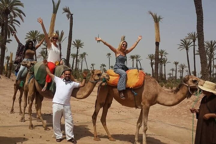 Private Marrakech Day Trip with Camel Ride From Casablanca 9