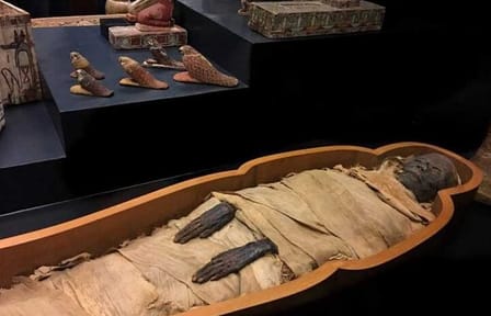 Self-Guided Tour of Luxor Mummification Museum with Transfers
