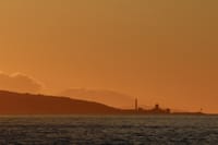 Akureyri Classic Whales in the Midnight Sun 3