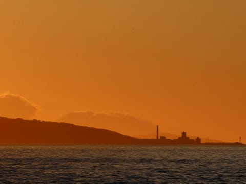 Akureyri Classic Whales in the Midnight Sun, photo 4