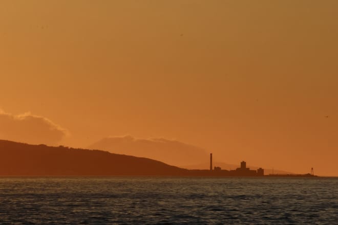 Akureyri Classic Whales in the Midnight Sun 3