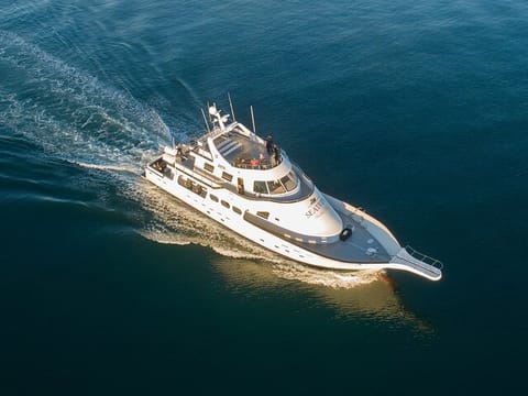 New Year's Eve Fireworks Yacht Cruise, photo 5