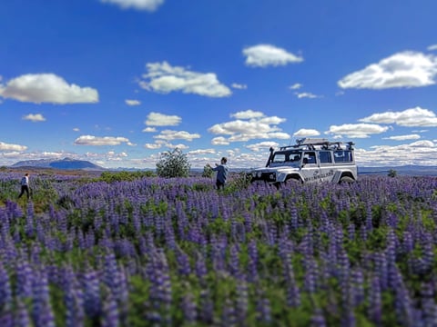 South Coast Private Adventure, photo 9