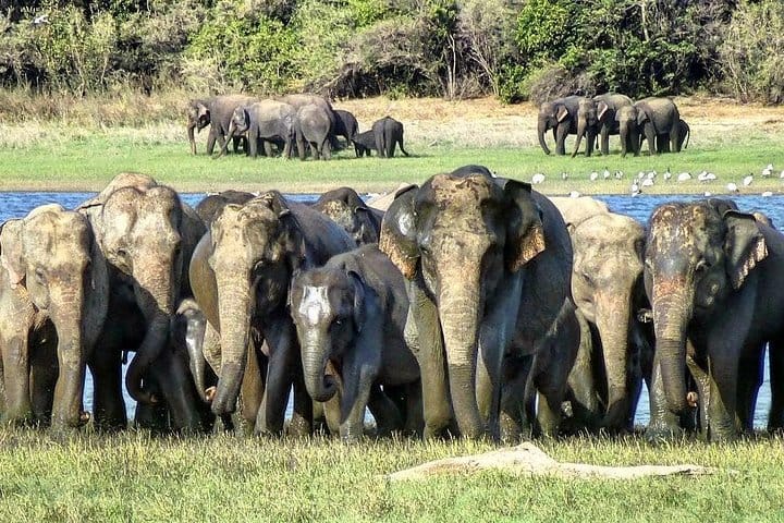 The Sacred Sri Lanka 4 Nights | 5 Days