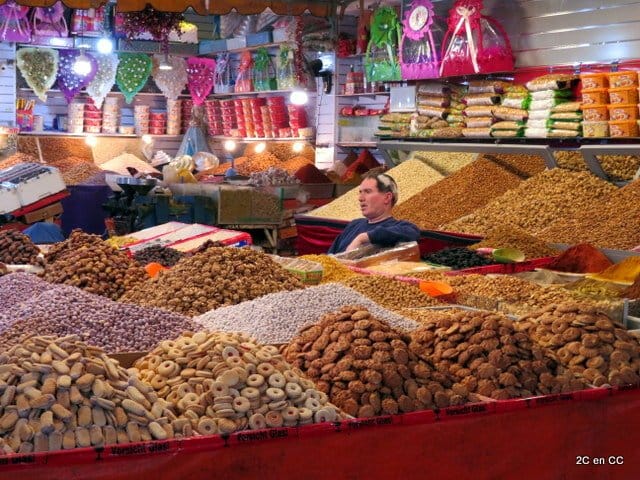 from agadir : Essaouira – guided day trip