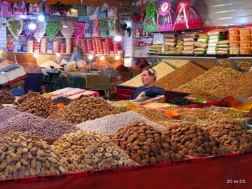 from agadir : Essaouira – guided day trip