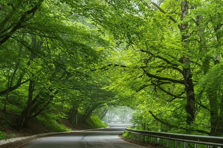 Private Tour of Tbilisi National Park: Monasteries, Forests & Lakes