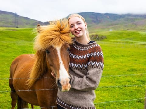 Icelandic horse at Bjarteyjarsandur