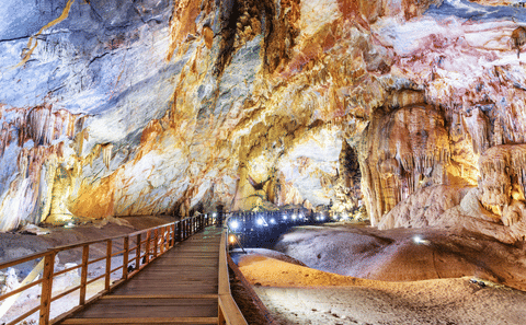 Botanic Garden and Cave Adventure Tour in Phong Nha, Vietnam