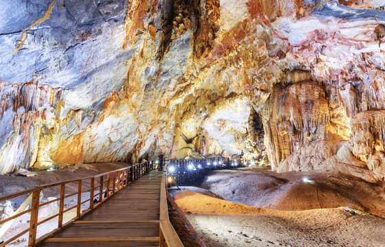 Botanic Garden, Paradise Cave and Phong Nha Cave Tour