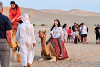Camel Trekking In Abu Dhabi with Transfer, Fun and More 4