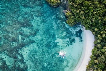 Private Full-Day Bohol Countryside Tour from Cebu City