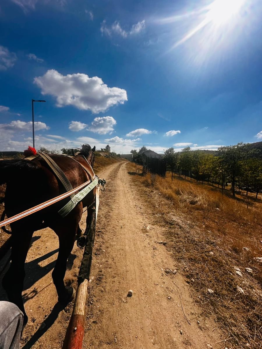 Tour to Old Orhei &Cave Monastery &Cricova cellar tour tasting