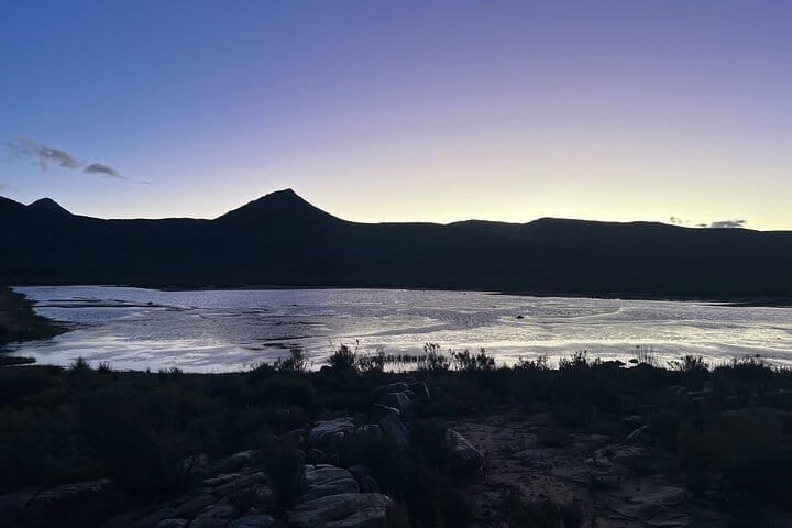 Cape Town Aquila Game Reserve Big 5 Sunset Safari with Transport