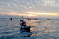 Sunset Cruise in Stonetown Zanzibar 2