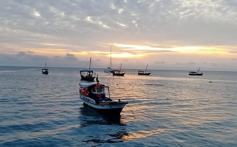 Sunset Cruise Experience in Stone Town, Zanzibar