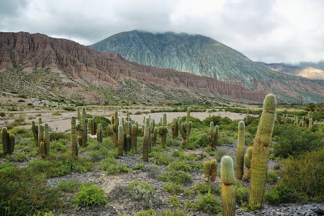 4 Days in Northern Argentina: Optional Train to the Clouds 5