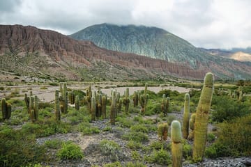 Explore Northern Argentina: 4-Day Adventure in Salta