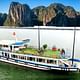 Deluxe Halong Bay Day Tour with Limousine, Island, Beach and Cave