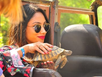 Jeep Safari Adventure with Lunch at Dim River in Alanya