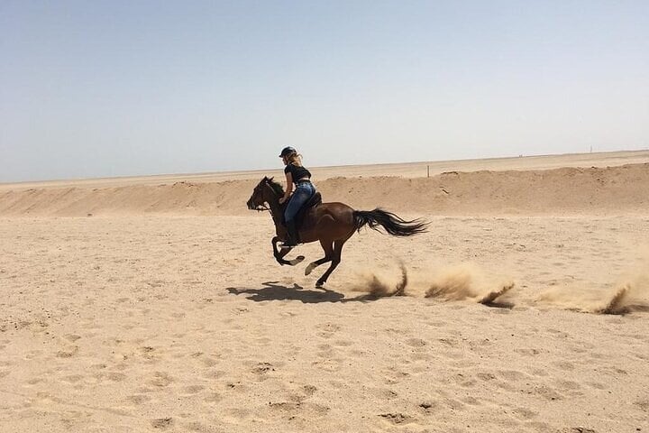 Hurghada : Horse Riding 2 Hours Sea & Desert with Transfer 7