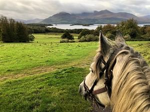 Killarney National Park horseback ride. Kerry. Guided. 2 hours.