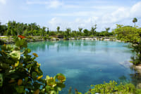 Sea Lion Discovery at Cozumel  3