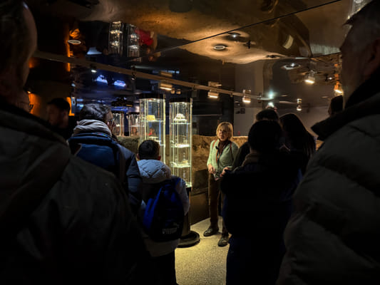 Cracow: Rynek Underground Museum Guided Tour