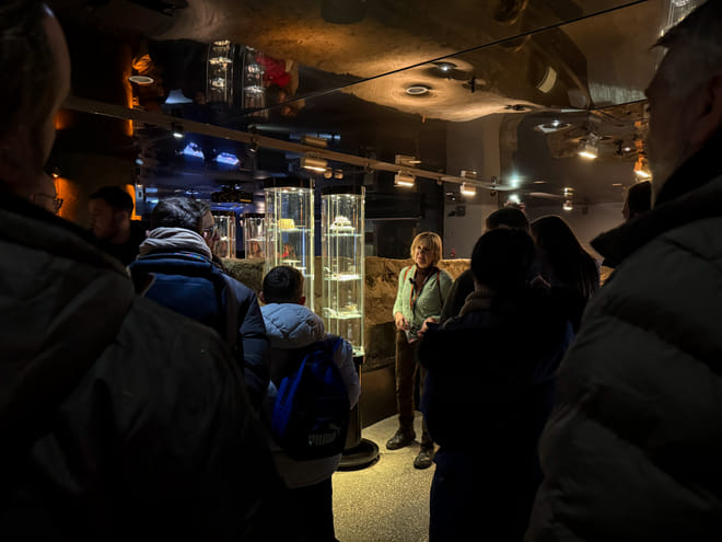 Cracow: Rynek Underground Museum Guided Tour