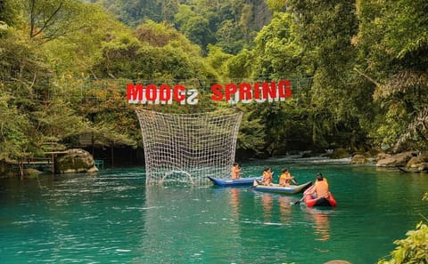 Paradise Cave and Mooc Spring Day Tour from Dong Hoi