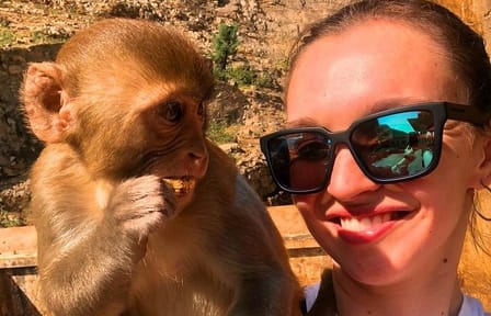 Jaipur Day trip from Delhi by Private Air-condition Vehicle includes Guide.