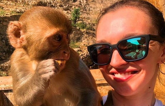 Jaipur Day trip from Delhi by Private Air-condition Vehicle includes Guide.