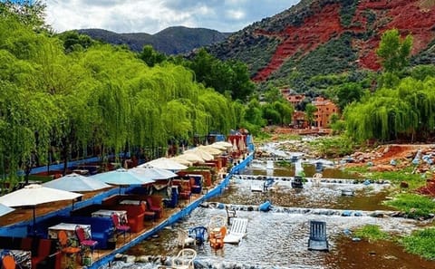 Atlas Mountains Day Trip from Marrakech with Local Culture Experience
