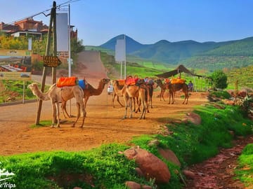 Highlights of Marrakech: Private Half-Day City Tour