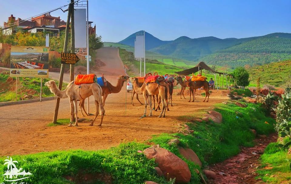 Private Atlas Mountains Day Trip