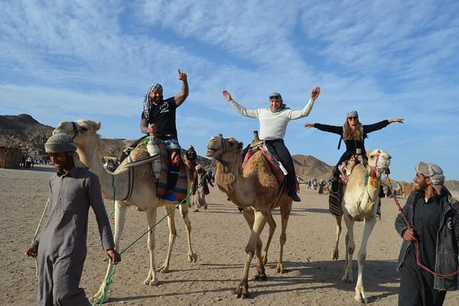 3 Hours ATV Quad &amp; Camel Riding With Transfer - Sharm El Sheikh