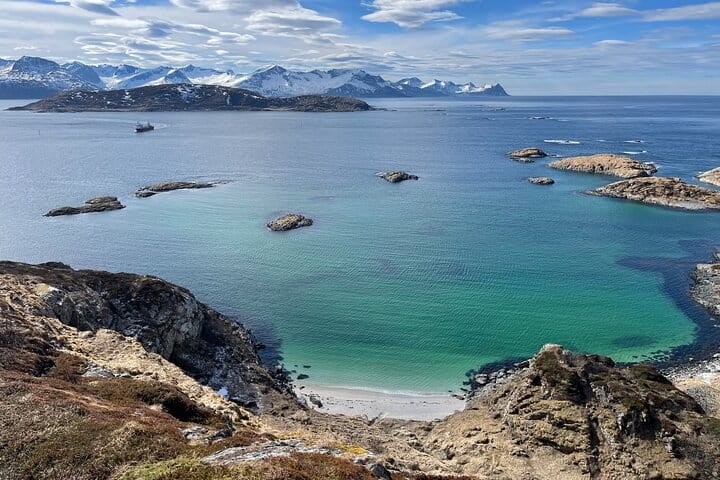 Tromsø Fjords and Wildlife Tour in a Minibus
