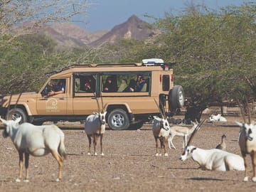 Nature and Wildlife