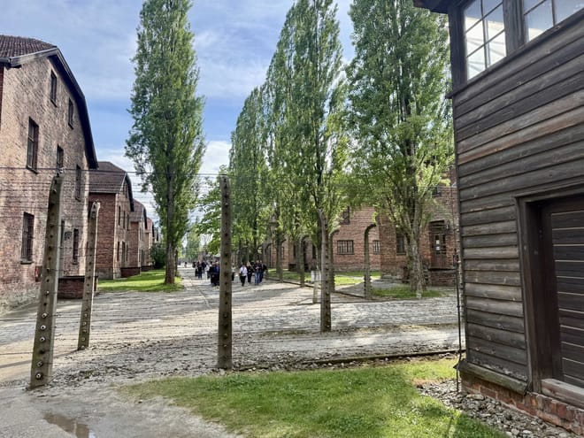  Auschwitz-Birkenau Museum and Memorial Guided Tour from Krakow 8