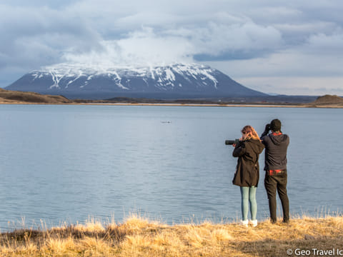 Birdwatching at Lake Mývatn