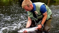 Salmon & trout fishing on a Connemara fishery. Galway. Private guided. French/Eng 8