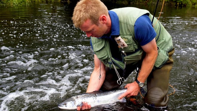 Salmon & trout fishing on a Connemara fishery. Galway. Private guided. French/Eng 8