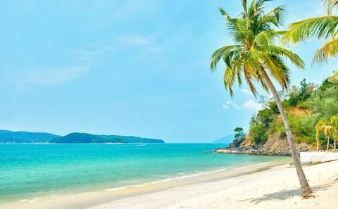 Langkawi Beach Discovery Plus Mangrove Boat Tour