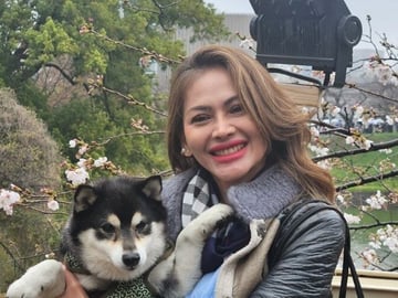 Tokyo Private Cherry Blossom Tour with a Shiba Inu & Shrine Walk
