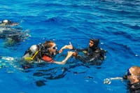Scuba Diving for Beginners in Marmaris and Icmeler 7