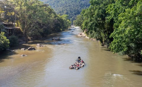 Half-Day River Tubing and Ethical Elephant Feeding in Chiang Mai